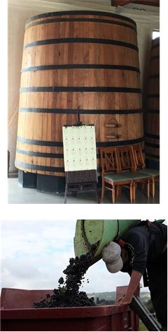 More Info category 3 image.jpg